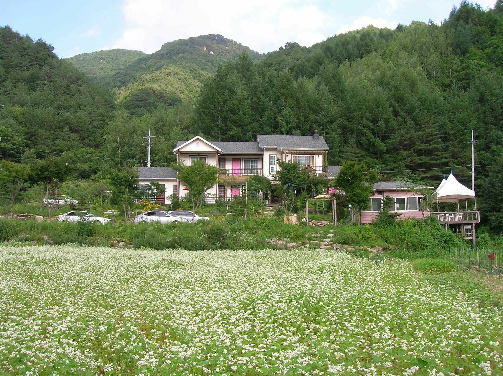 Geum Dang Lodge Янпхён Экстерьер фото